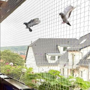 Product Image of Bird Netting Services In Dwarka
